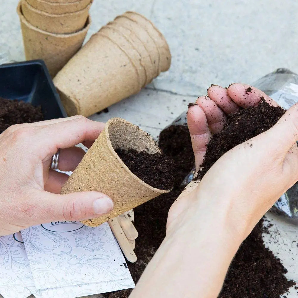 Biodegradable Plant Grow Pots