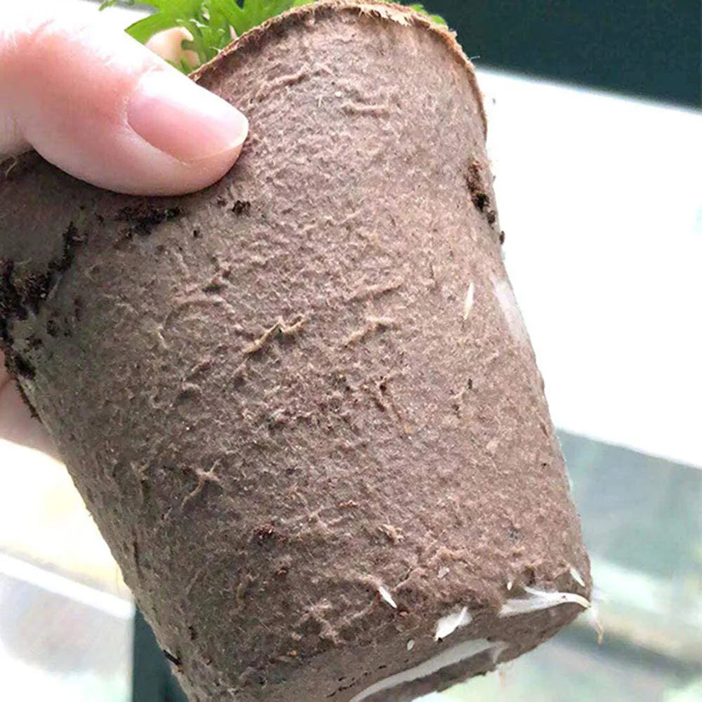 Biodegradable Plant Grow Pots