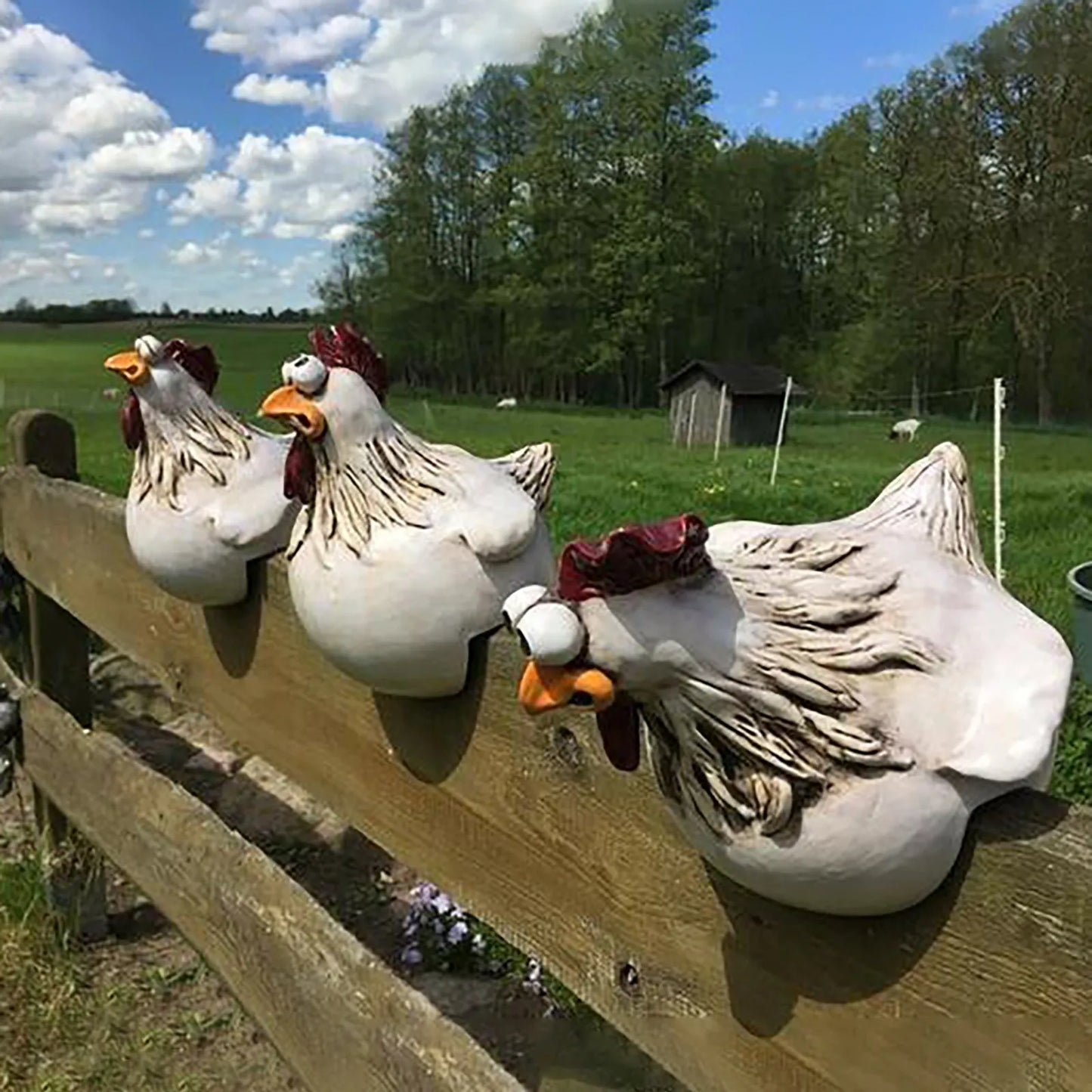 Cheeky Chicken Fence Decor